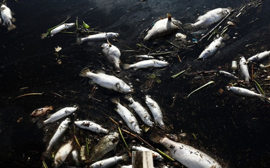 登州直落卡隆海滩油污污染·环境局:彻查附近船只名单